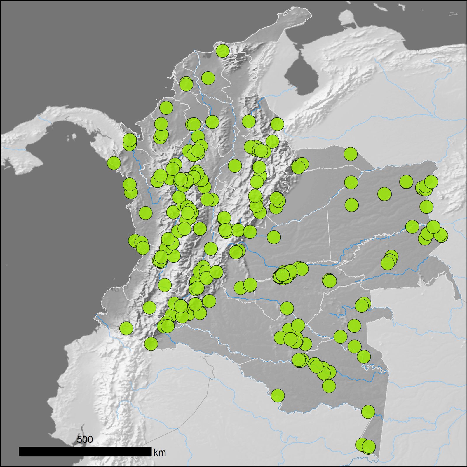 Myrcia Splendens Sw Dc Plants Of The World Online Kew Science