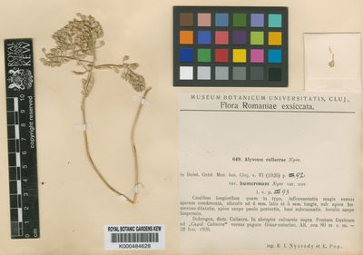 Kew Gardens K000484628:  Nyárády, E.I.; Pop, E. [649] Bulgaria