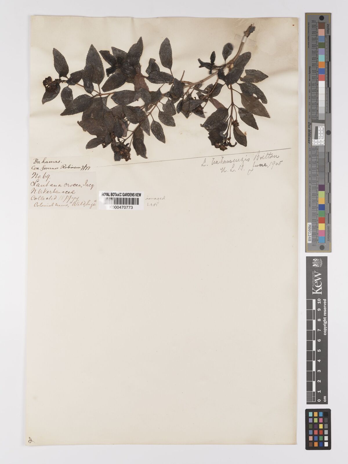 Kew Gardens K000470773:  [Robinson] [69] Bahamas, The