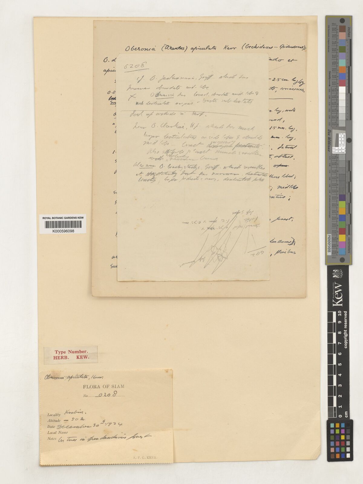 Kew Gardens K000596098:  Kerr, A.F.G. [0208] Thailand
