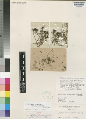 Kew Gardens K000435898:  Faden, R.B.; Evans, E.; Kariuki, B.; Smeenk, C. [71/186] Kenya