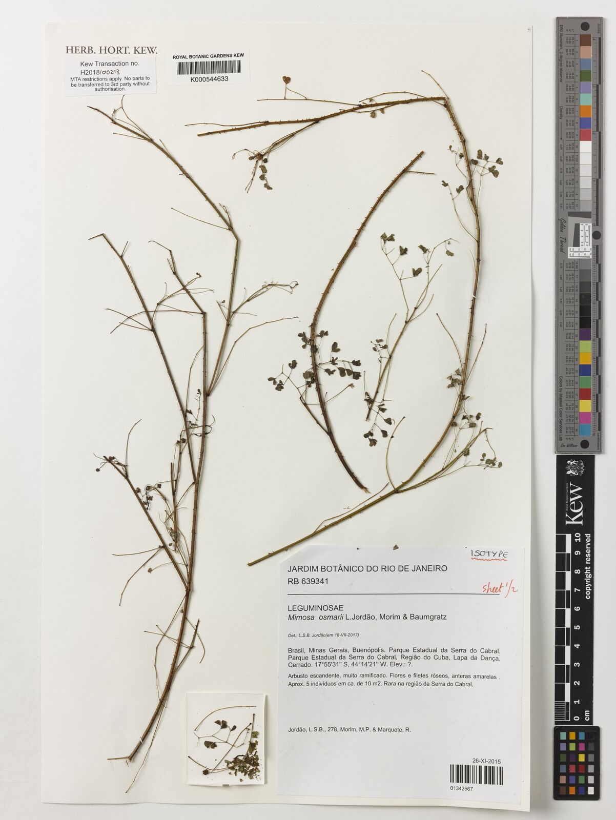 Kew Gardens K000544633:  Jordão, L.S.B.; Morim, M.P.; Marquete, R. [278] Brazil