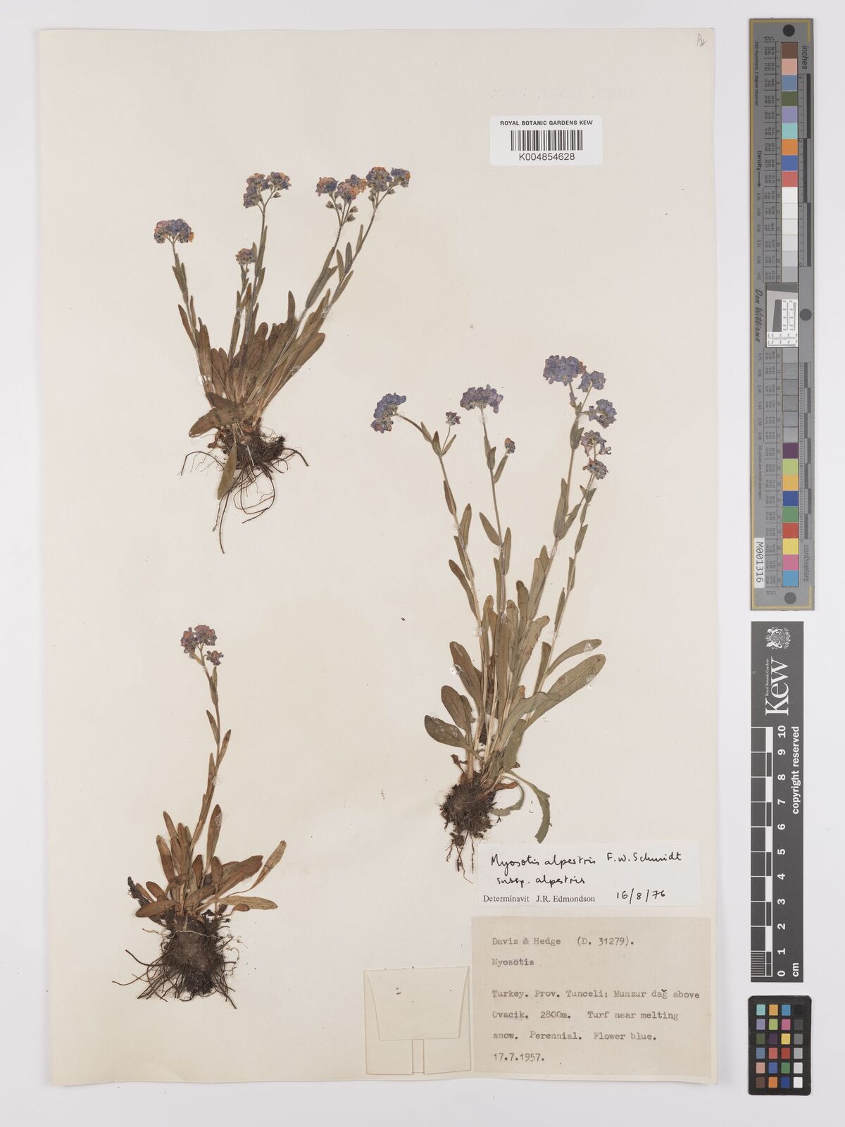 34c63fc90d7715e1abc6585db921ad