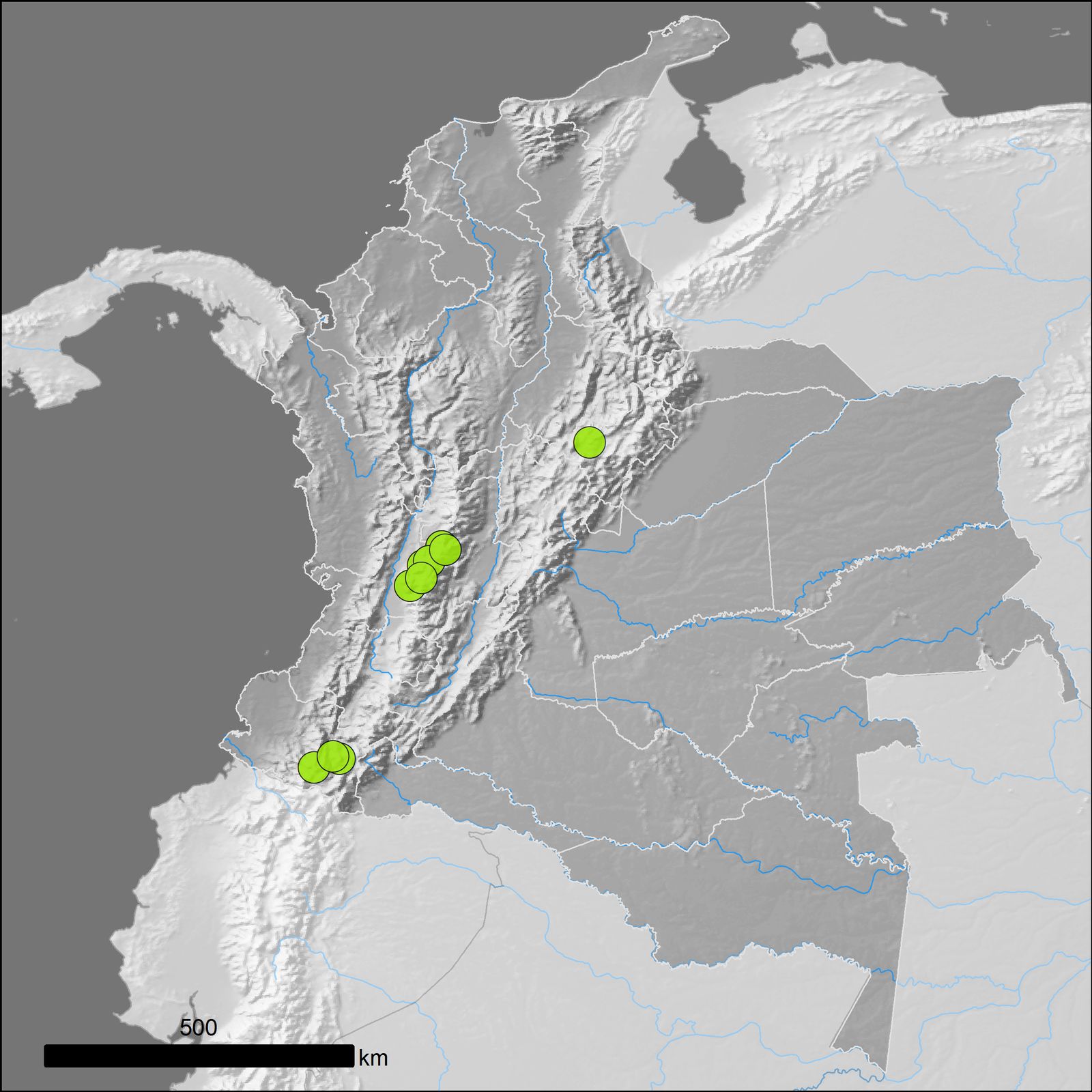 Chuquiraga jussieui J.F.Gmel. | Plants of the World Online | Kew Science