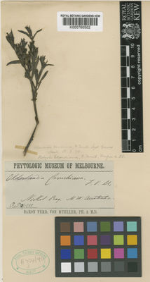 Kew Gardens K000760502:  Mueller, F.J.H.von [s.n.] Australia