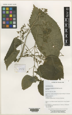 Kew Gardens K000184428:  Middleton, D.J.; Boonthavikoon, T.; Davies, S.J.; Hemrat, C.; Newman, M.F. [444] Thailand
