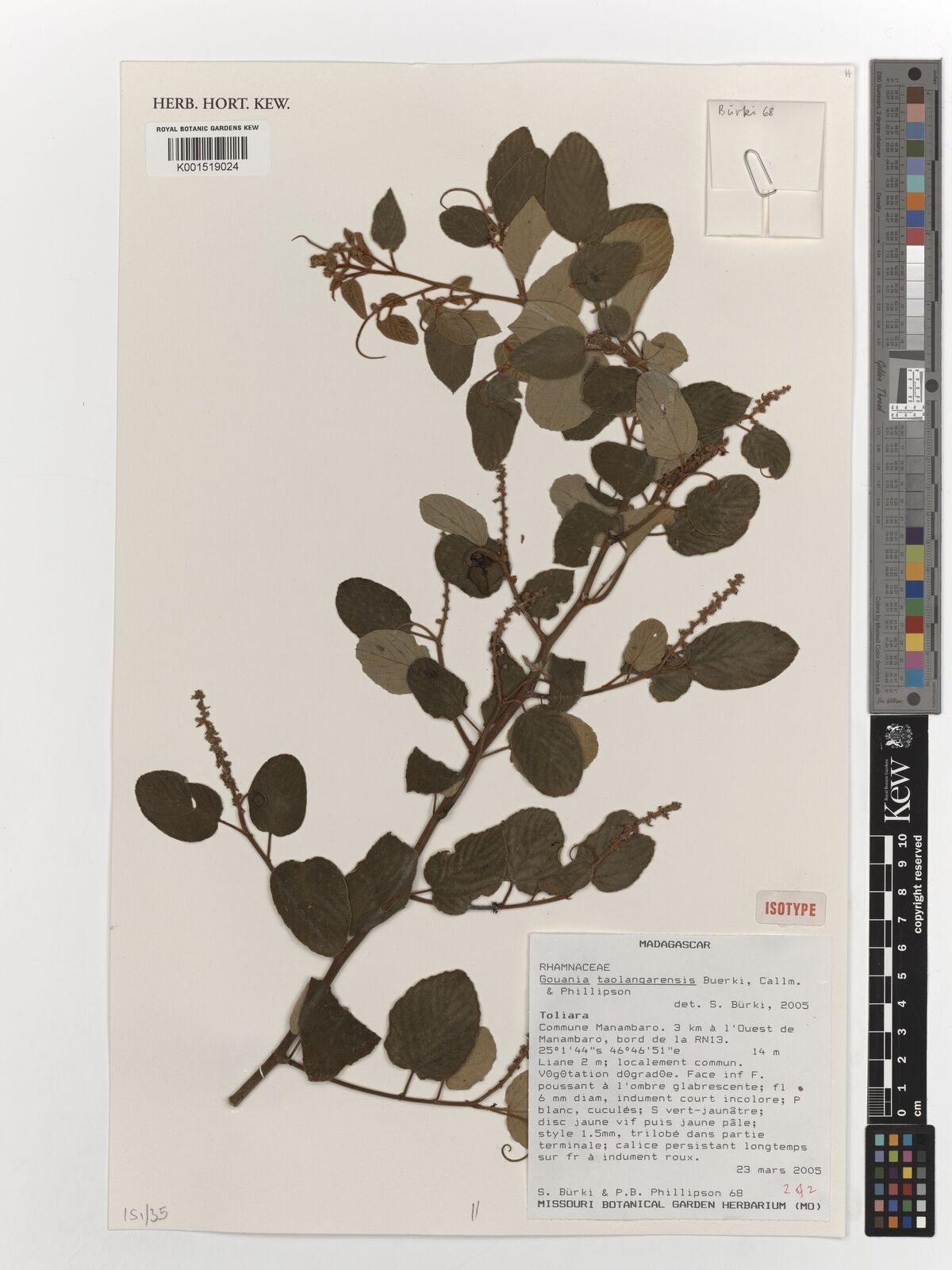 Kew Gardens K001519024:  Burki, S. [68] Madagascar