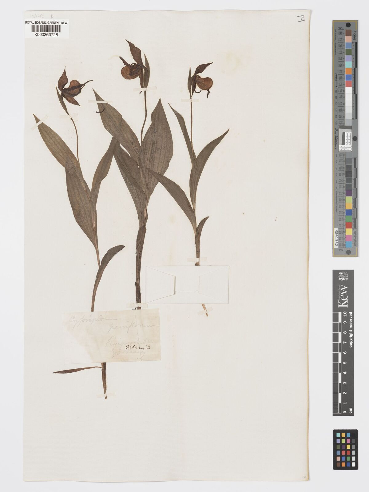Kew Gardens K000363728:  [illegible] United States