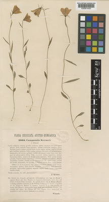 Kew Gardens K000814420:  Kerner, F. [s.n.] Austria