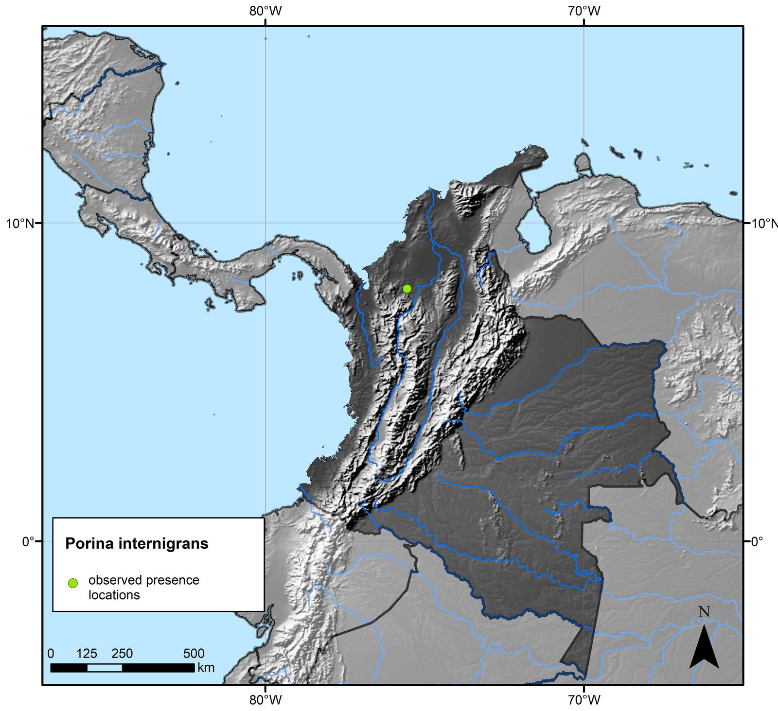 Porina internigrans (Nyl.) Müll. Arg. | Colombian Fungi made accessible