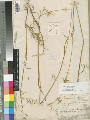 Kew Gardens K000345121:  Durieu [s.n.] Algeria