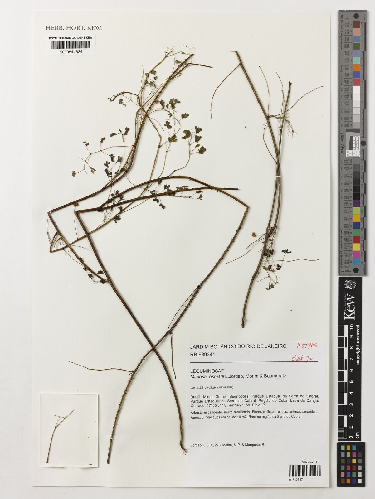 Kew Gardens K000544634:  Jordão, L.S.B.; Morim, M.P.; Marquete, R. [278] Brazil
