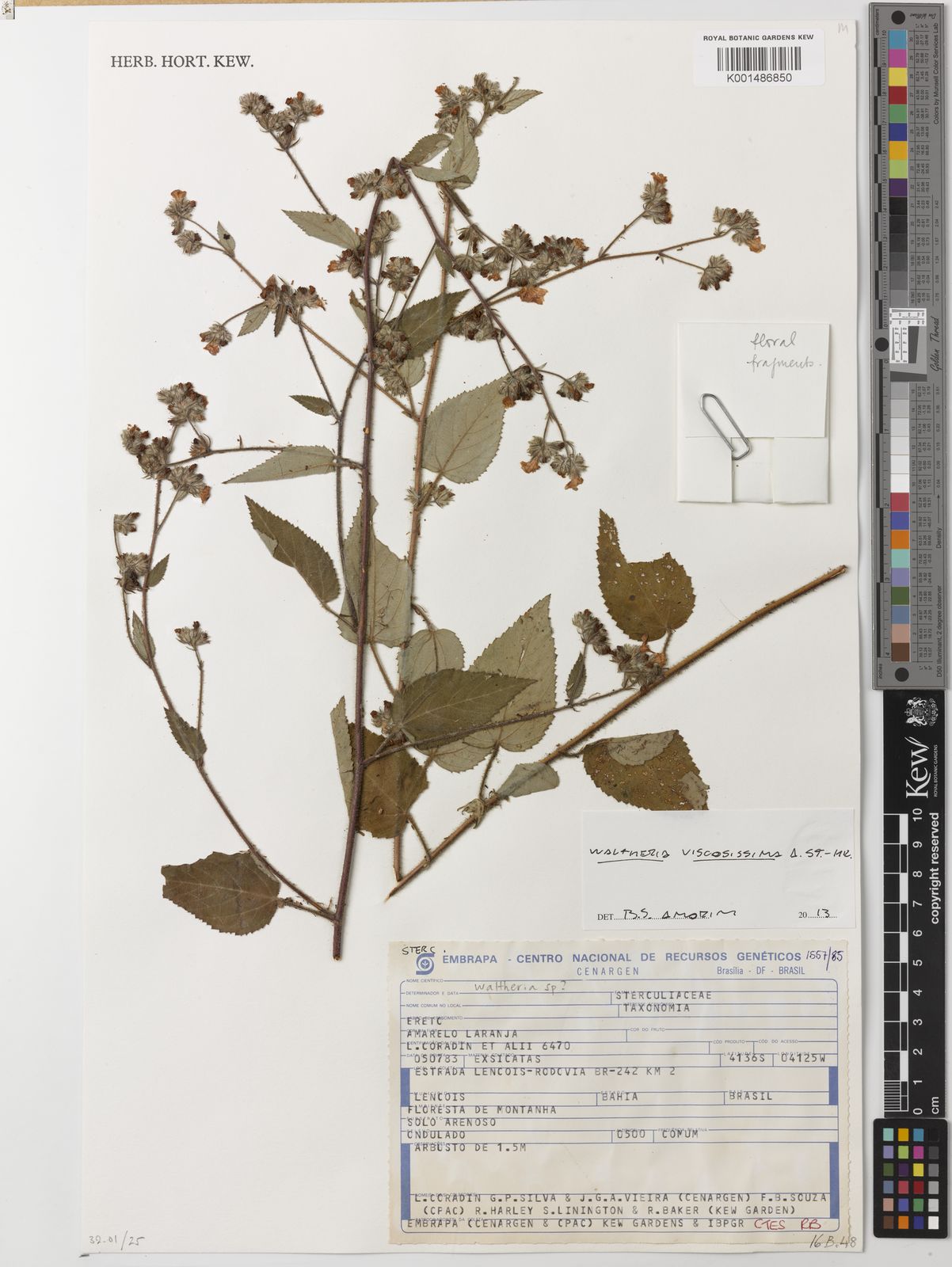 Main collectors of Mexico's vascular plants: a catalogue built from online  databases - Revista Mexicana de Biodiversidad