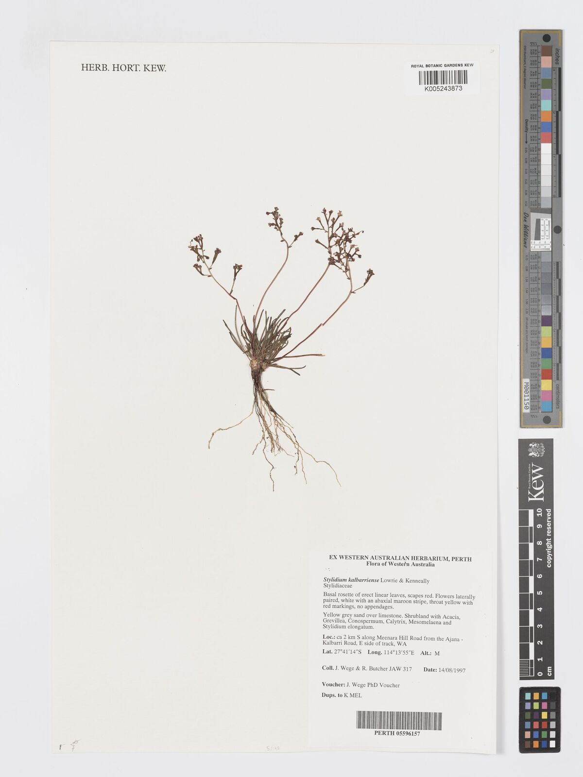 Kew Gardens K000060853:  Oldfield, A.F. [s.n.] Australia