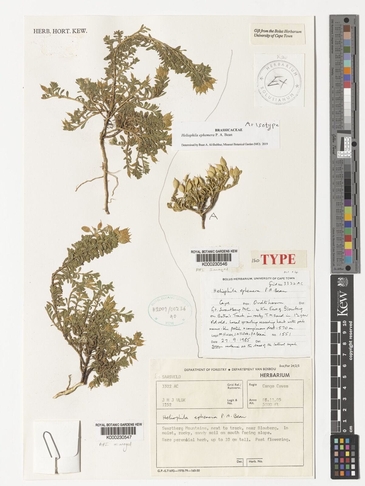 Kew Gardens K000230546:  Vivies, M.; Vlok, J.H.J.; Bean, P.A. [1551] 27CPPOO