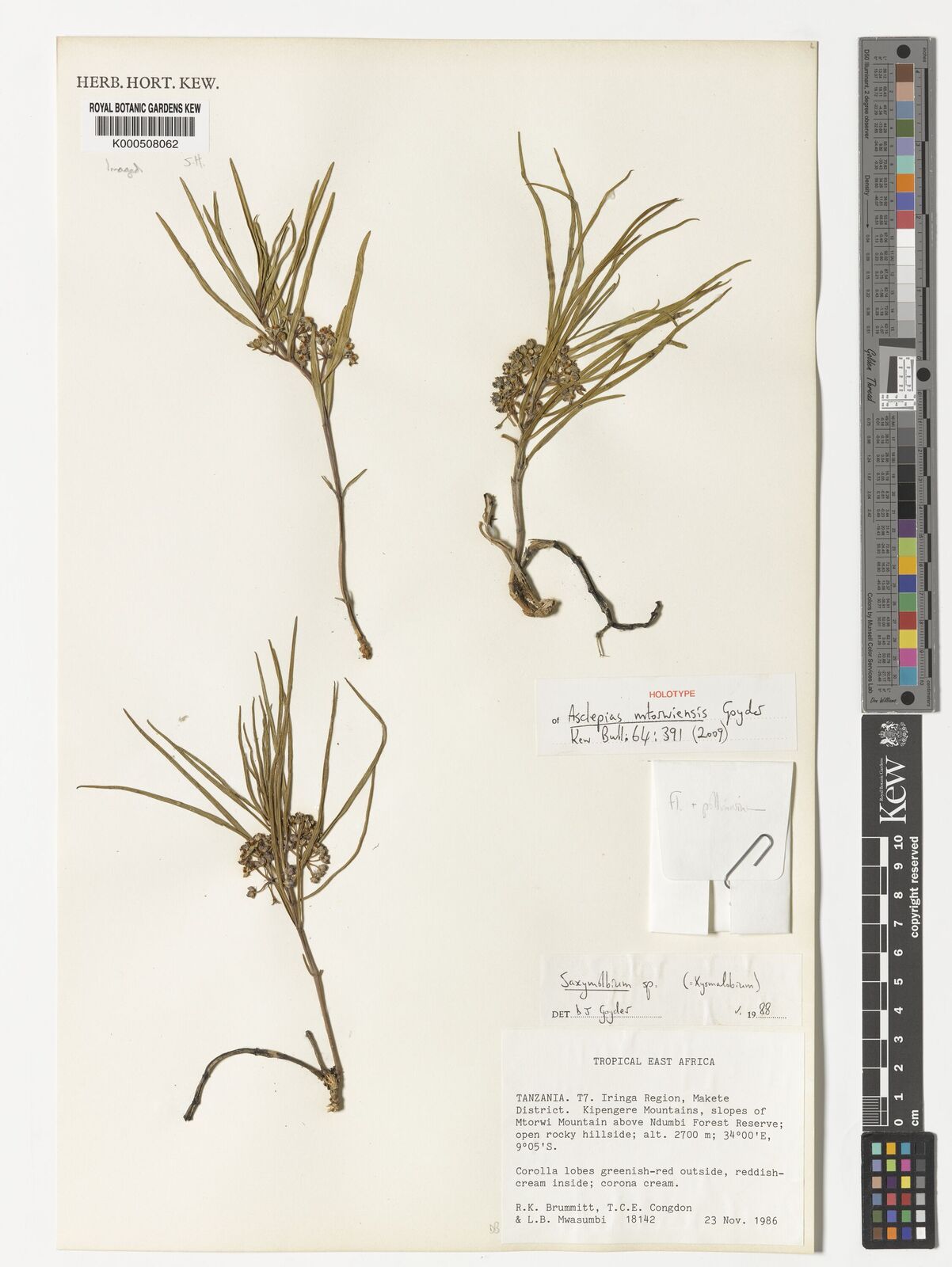 Kew Gardens K000508062:  Brummitt, R.K.; Congdon, T.C.E.; Mwasumbi, L.B. [18142] Tanzania