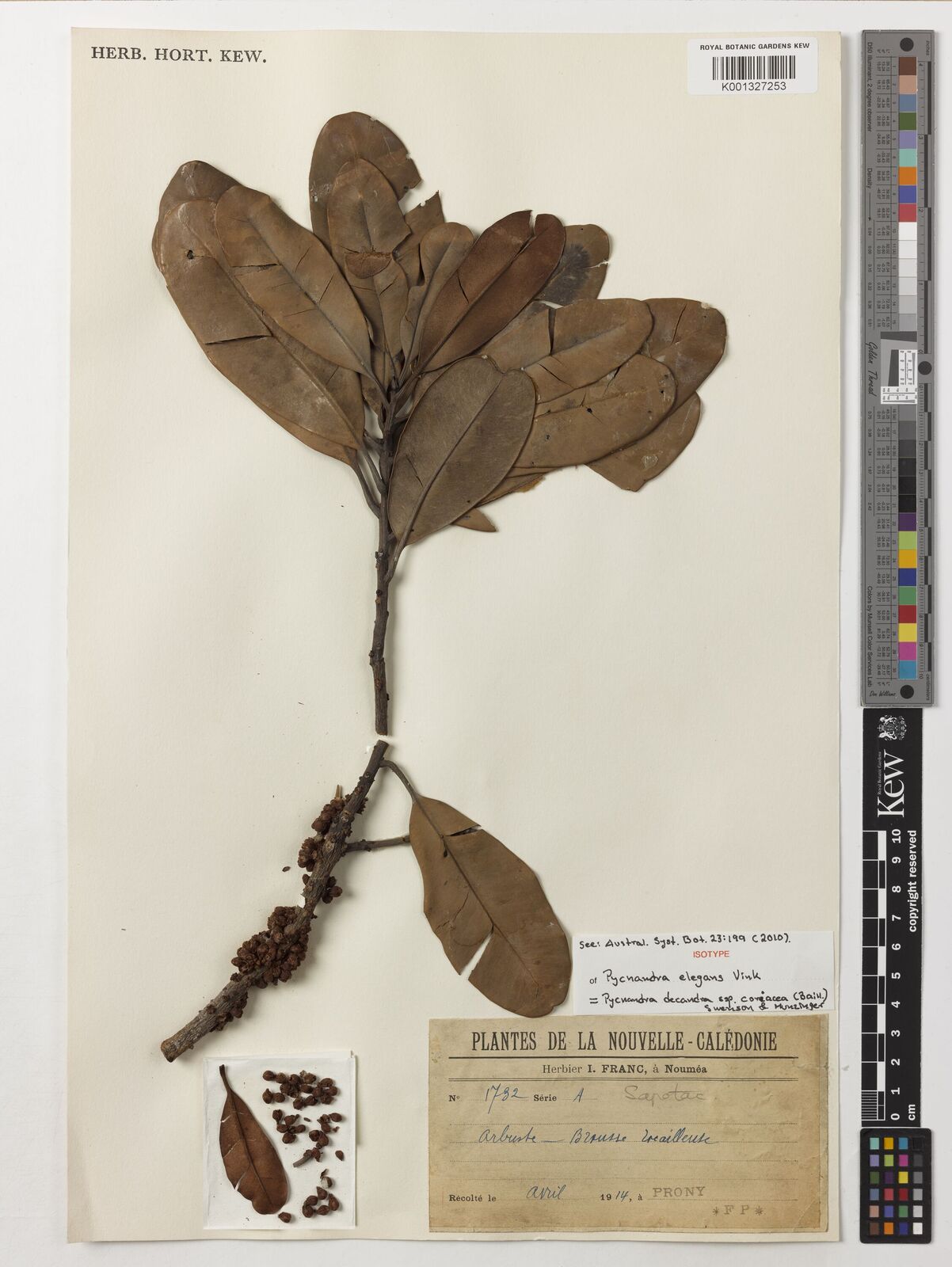 Kew Gardens K001327253:  Franc, I. [1732A] New Caledonia