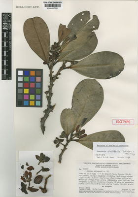 Kew Gardens K000487231:  Tillet, S.S.; Tillet, C.L.; Boyan, R. [45009] Guyana