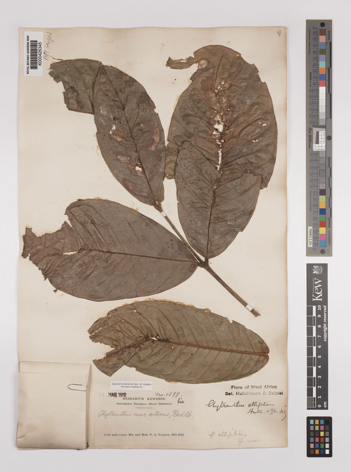 Kew Gardens K000426345:  Talbot, P.A. [1399 bis] Nigeria