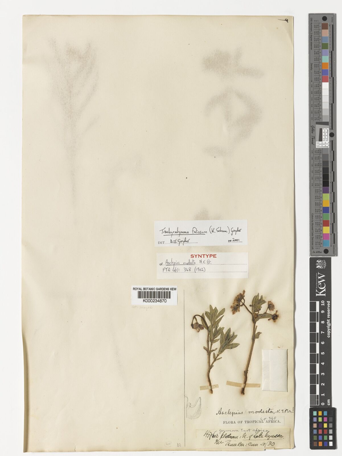 Kew Gardens K000234870:  Thomson [s.n.] Tanzania