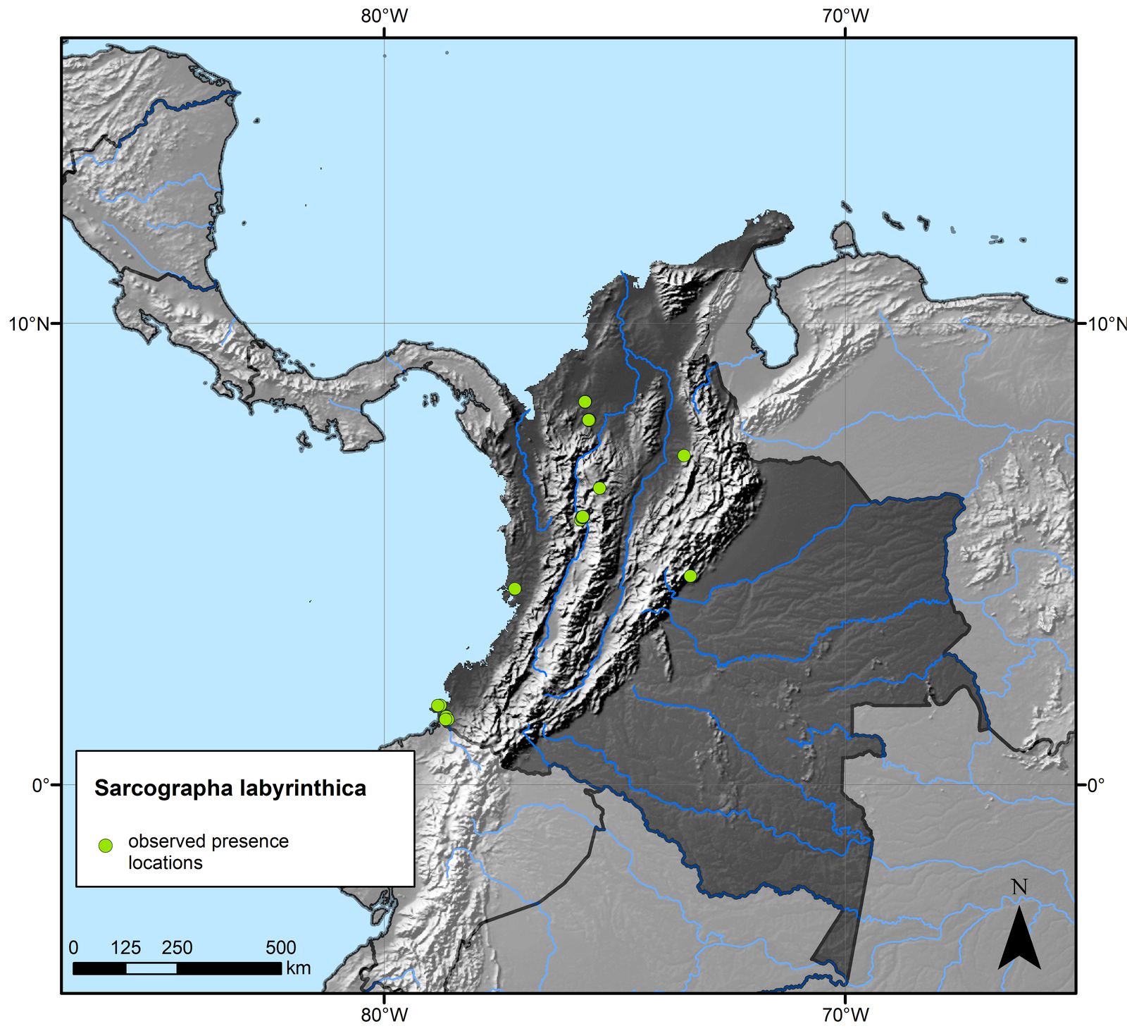 Sarcographa Fée | Colombian Fungi made accessible