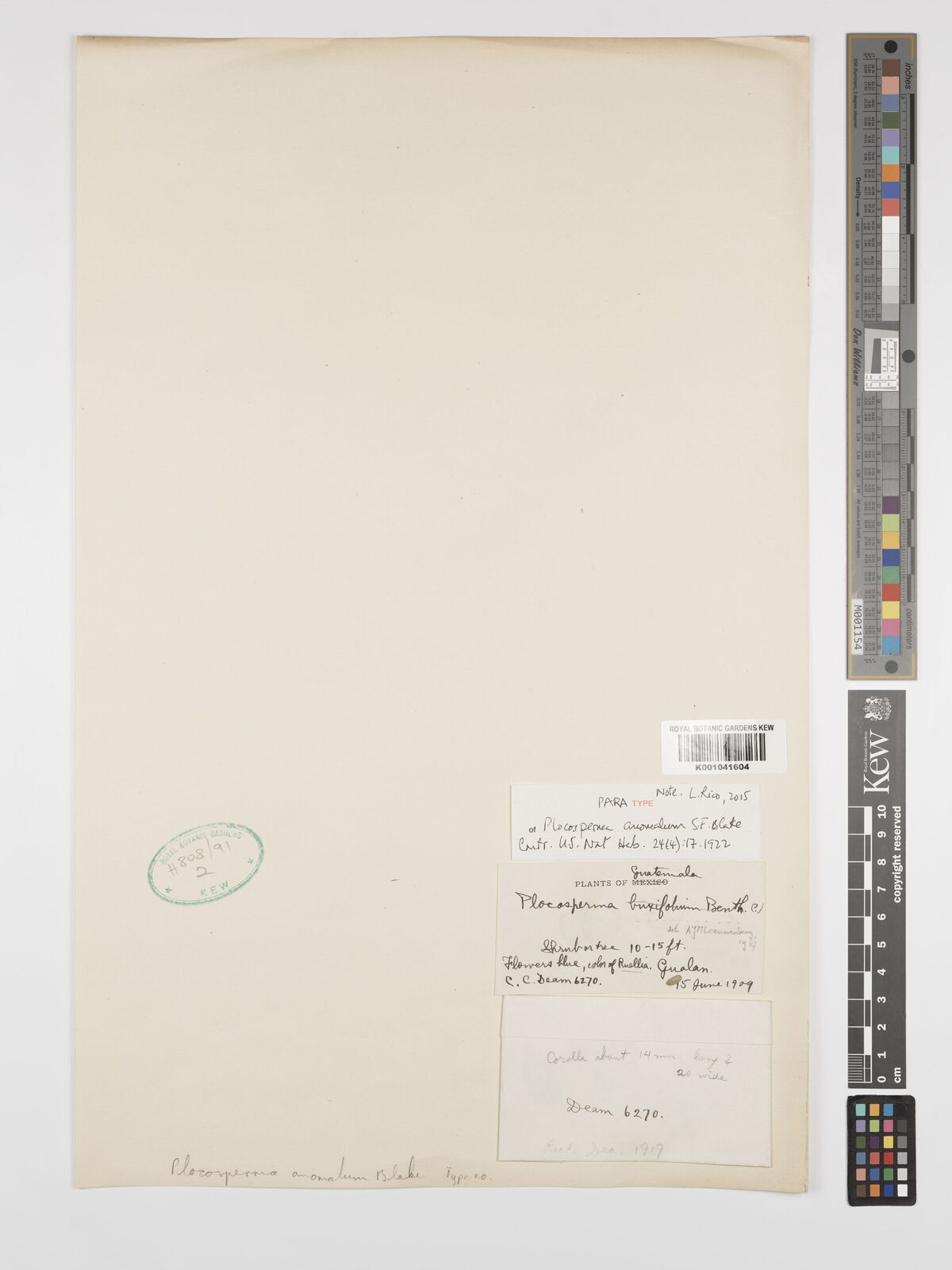 Kew Gardens K001041604:  Deam, C. [6270] Guatemala