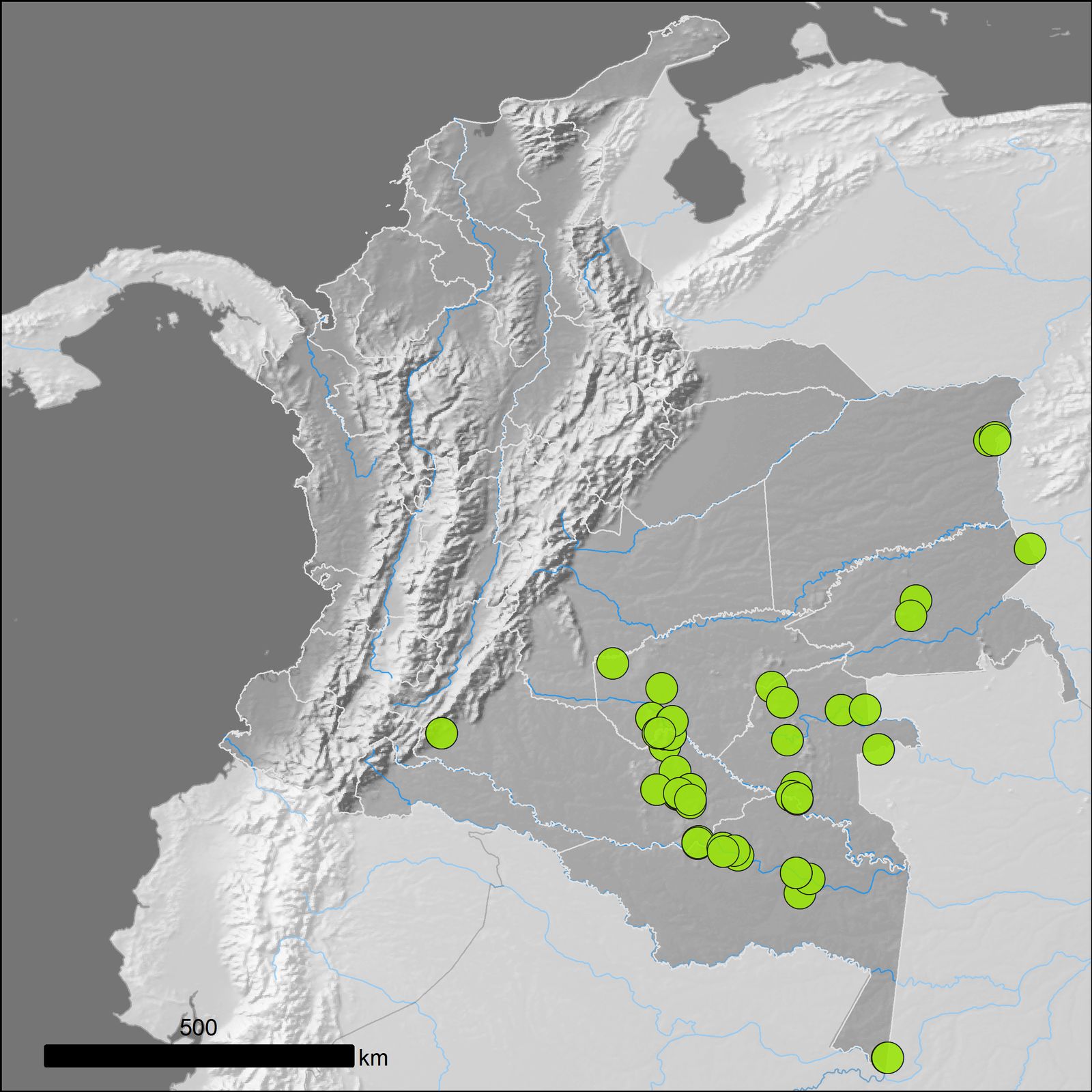 Euterpe catinga Wallace | Plants of the World Online | Kew Science