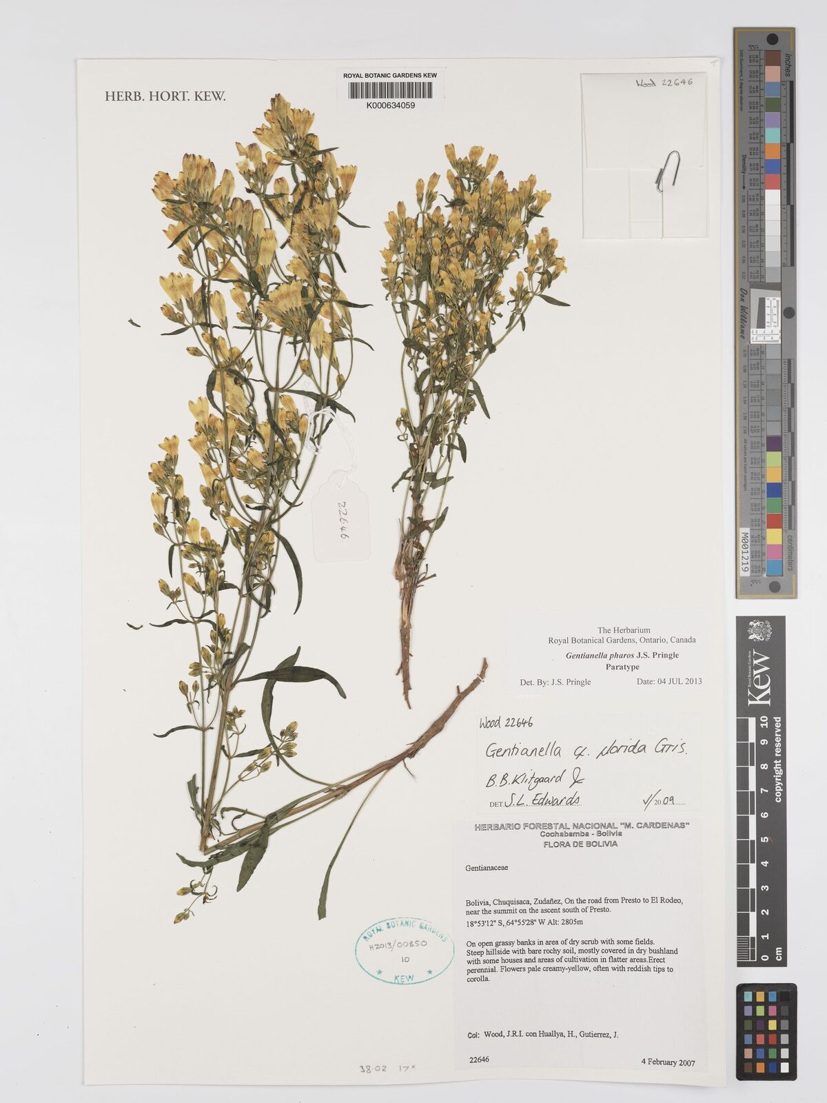 Kew Gardens K000634059:  Wood, J.R.I.; Huallya, H.; Gutierrez, J. [22646] Bolivia