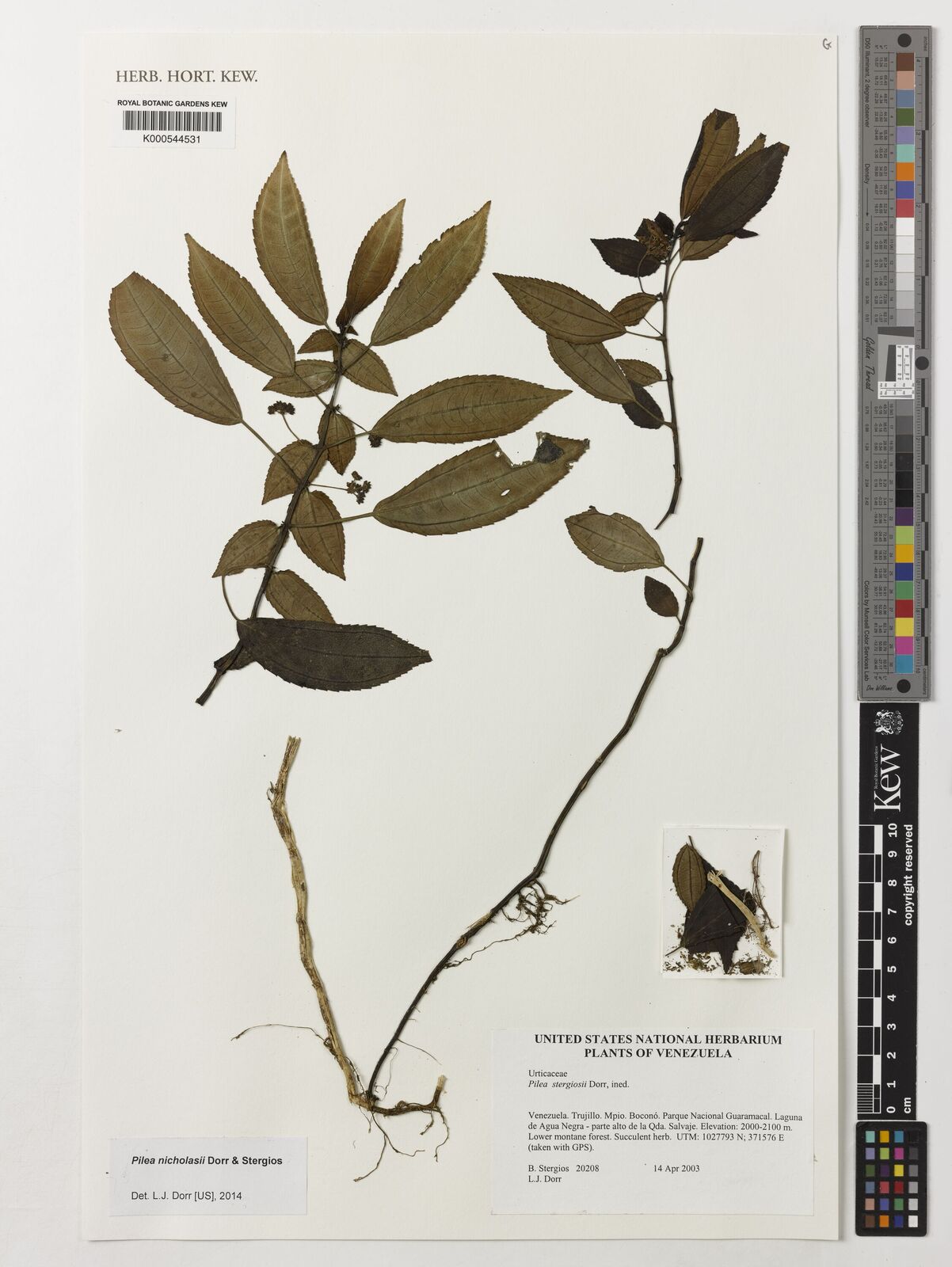 Kew Gardens K000544531:  Stergios, B.; Dorr, L.J. [20208] Venezuela