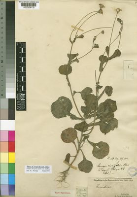 Kew Gardens K000306778:  Speke; Grant [s.n.] Uganda