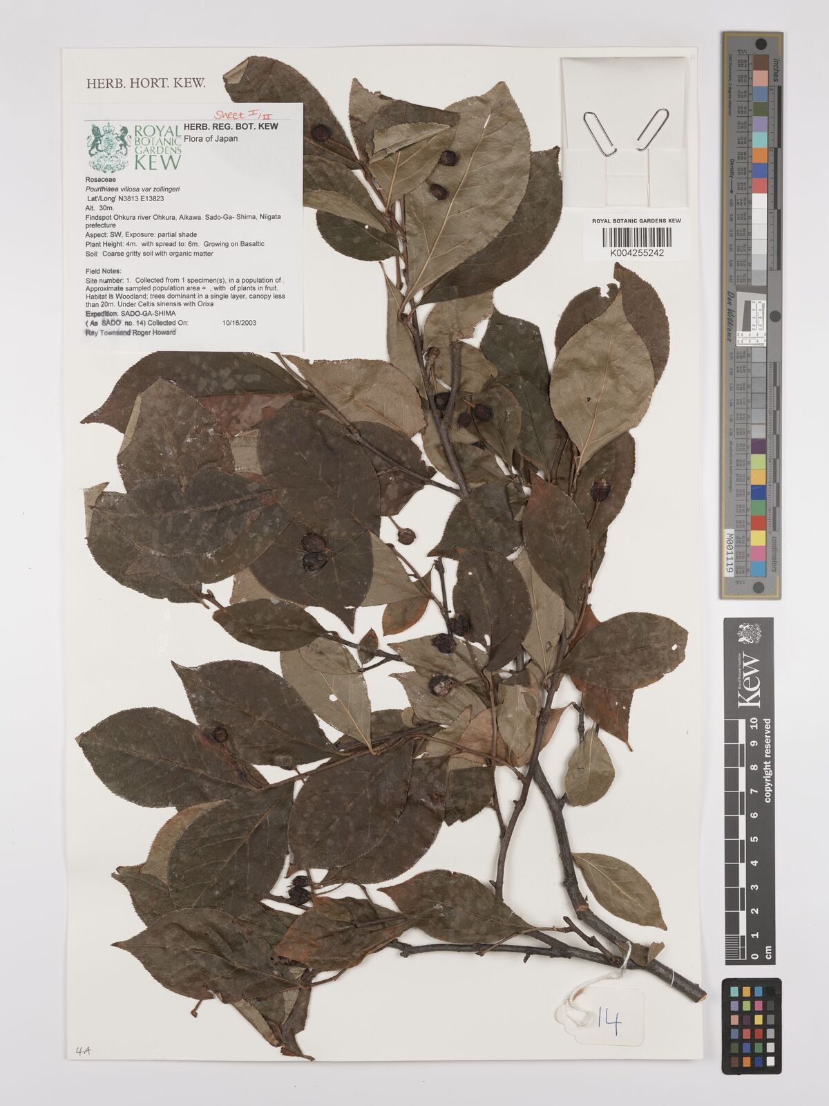 ネット　６ｍ×４ｍ V48M28T30EEZZ | Eaton Open core-coil ventilated transformer