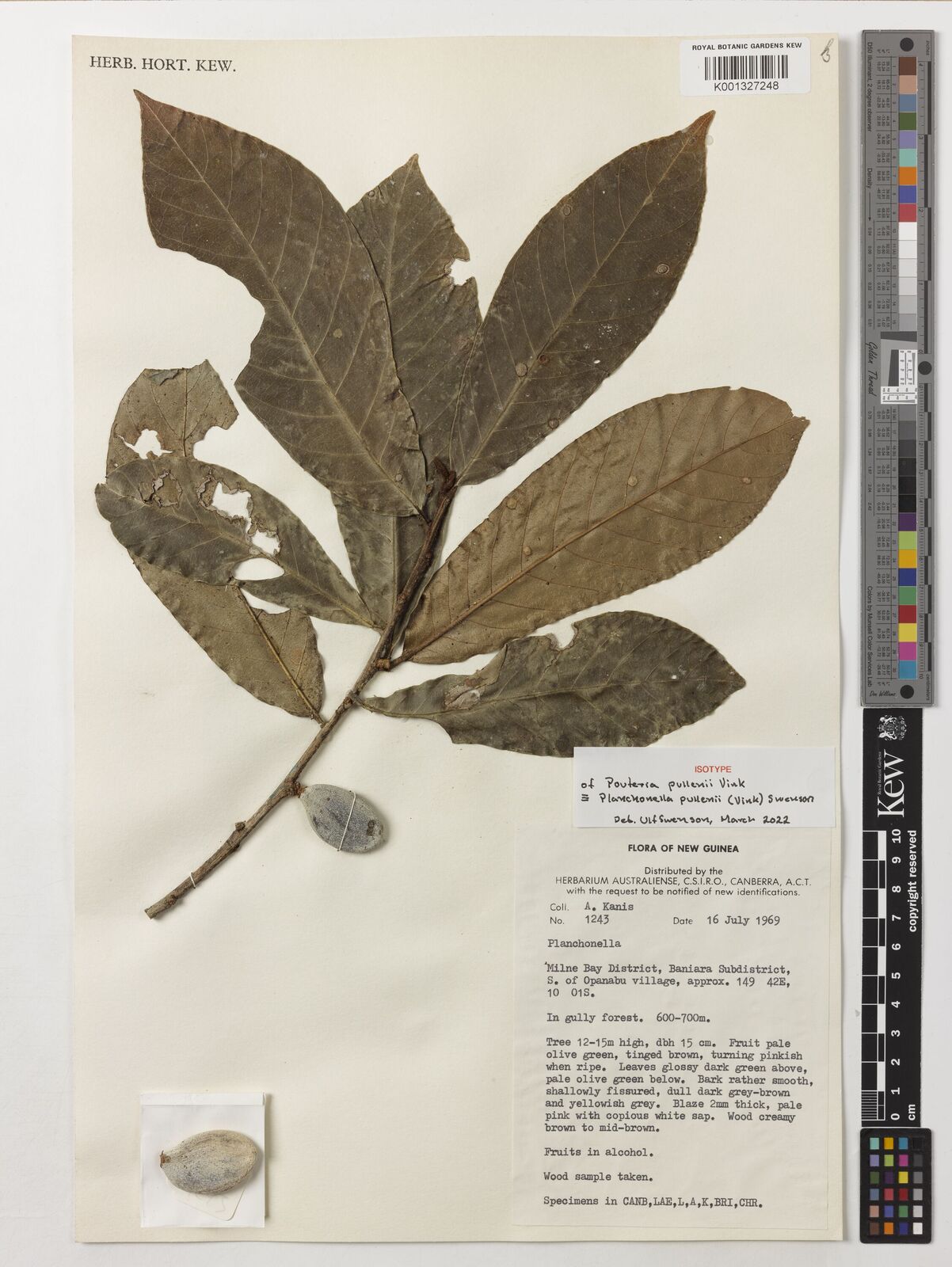Kew Gardens K001327248:  Kanis, A. [1243] Papua New Guinea