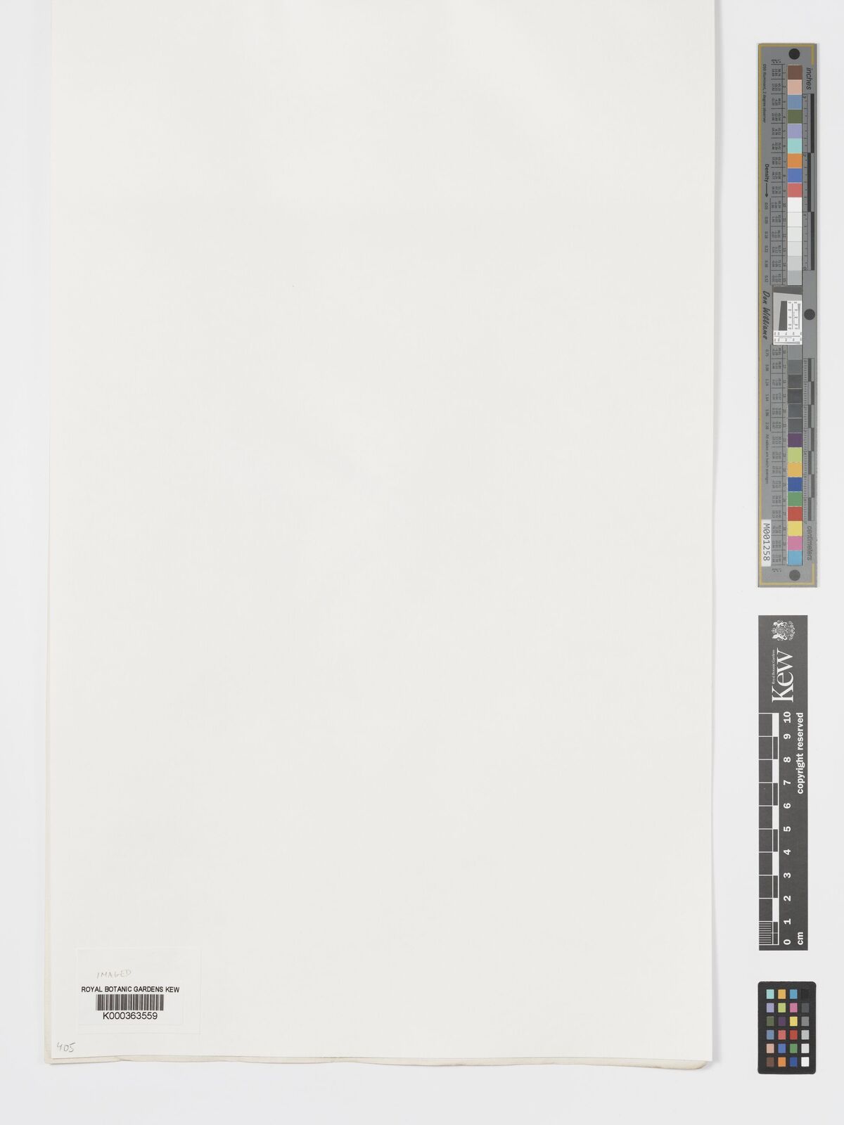 Kew Gardens K000363559:  Warzewitz [s.n.] Peru